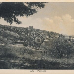 Alia - Panorama